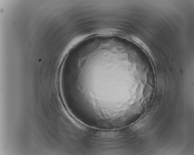 X0000062881429200601201808