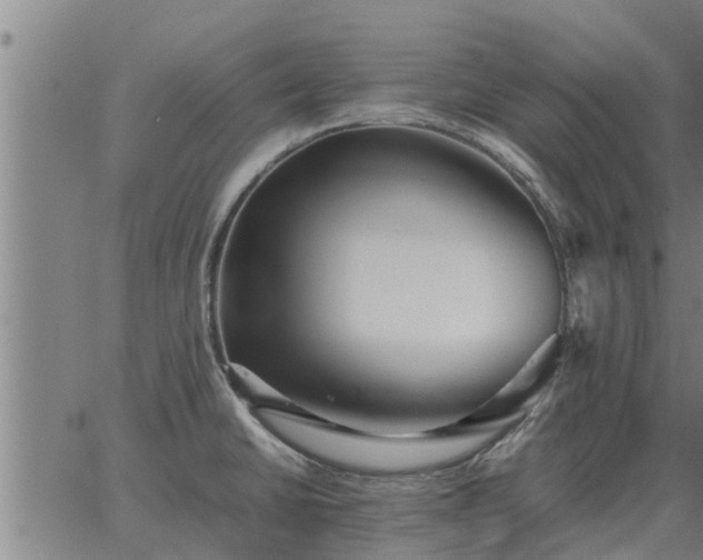 X0000062881430200601201808