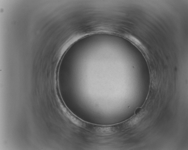 X0000062881431200601201808