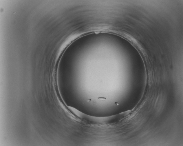 X0000062881432200601201808