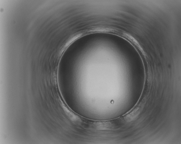 X0000062881433200601201808