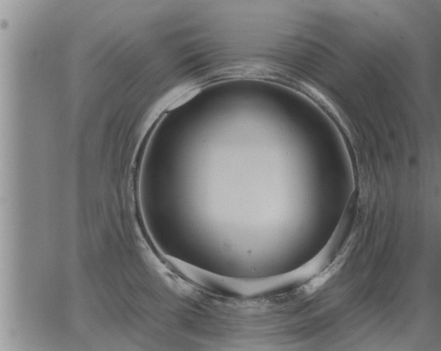 X0000062881434200601201808