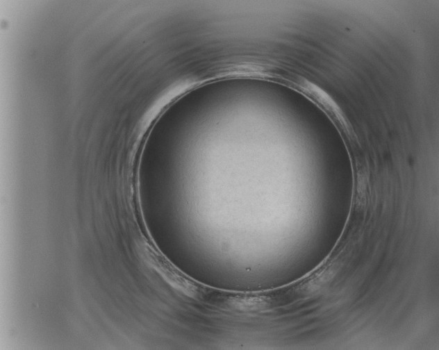 X0000062881435200601201808