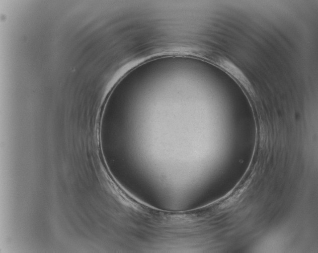 X0000062881436200601201808