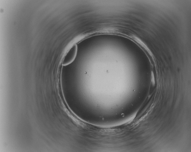 X0000062881437200601201808