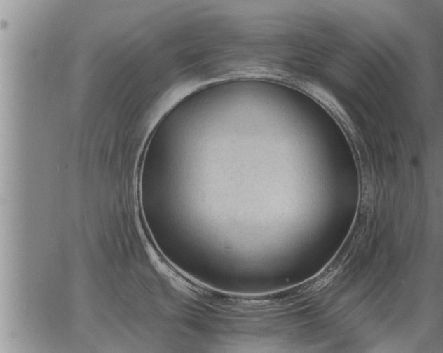 X0000062881439200601201808