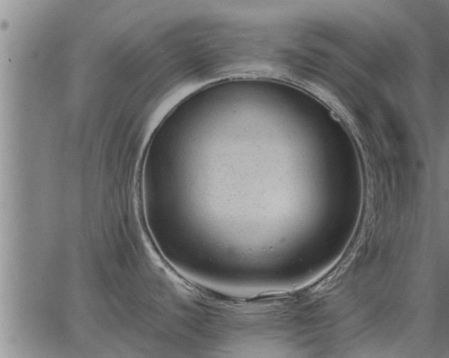 X0000062881440200601201808