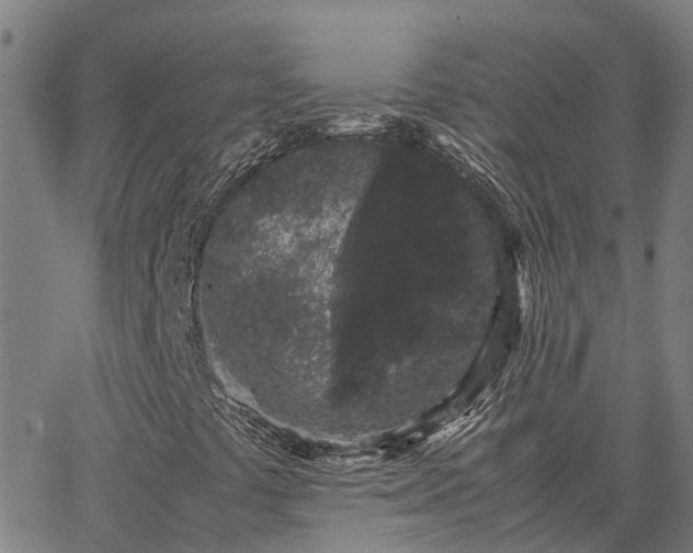 X0000062881441200601201808