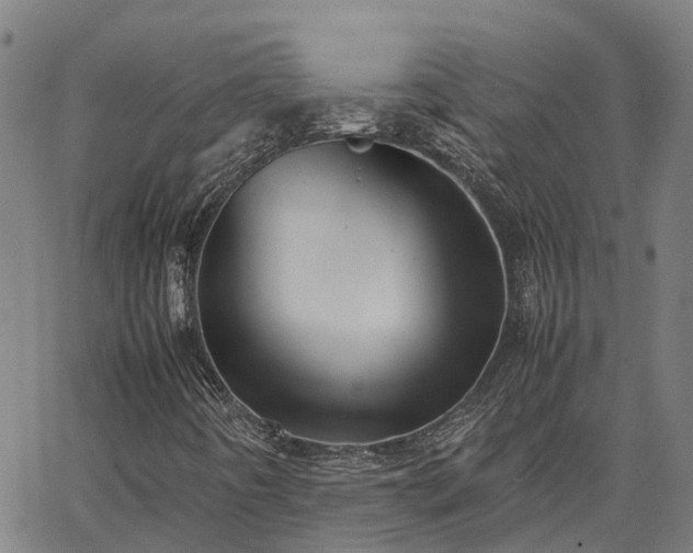 X0000062881442200601201808