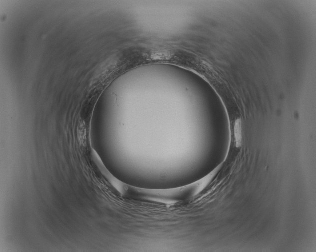 X0000062881443200601201808