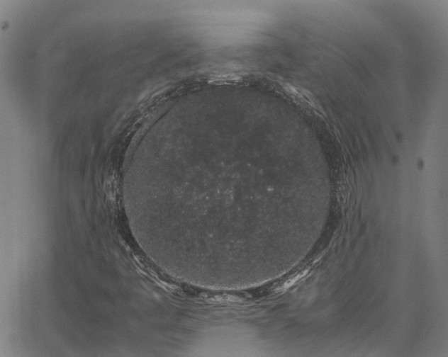 X0000062881445200601201807