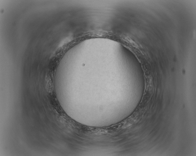 X0000062881446200601201807