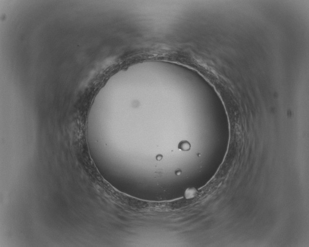 X0000062881447200601201807