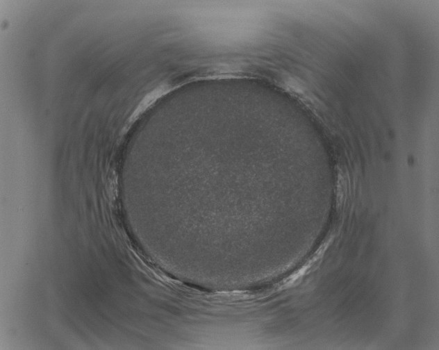 X0000062881449200601201807