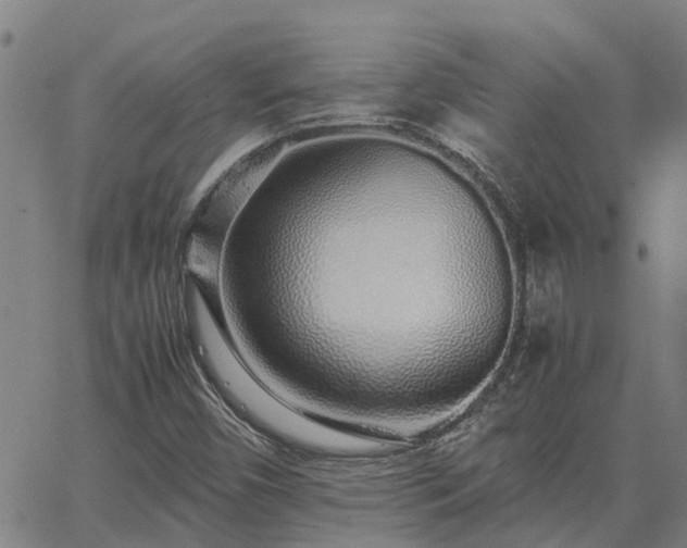 X0000062881450200601201807