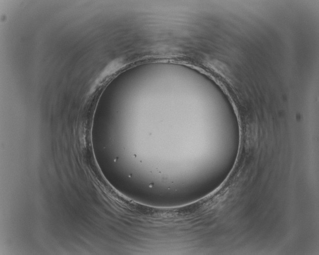 X0000062881451200601201807