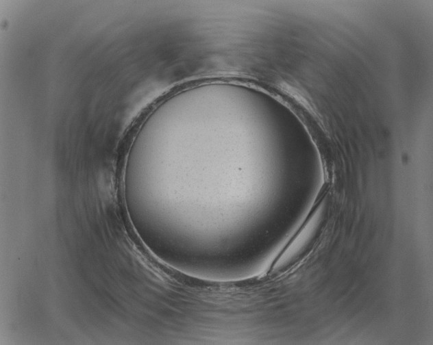 X0000062881452200601201807