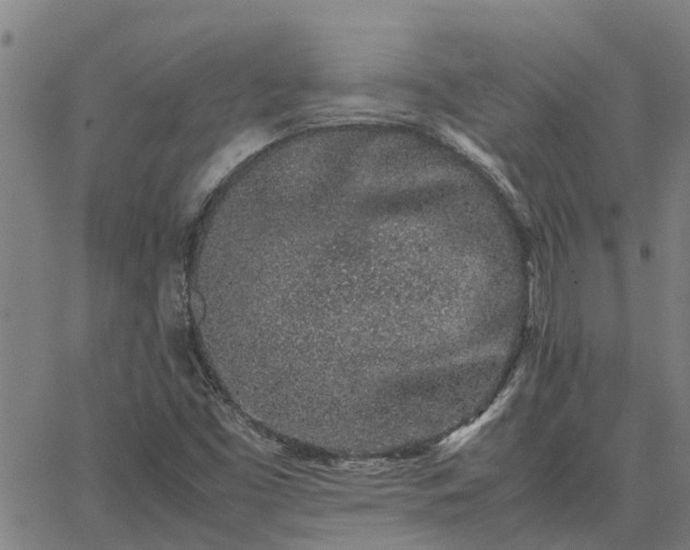 X0000062881453200601201807