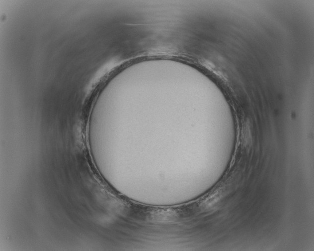 X0000062881454200601201807