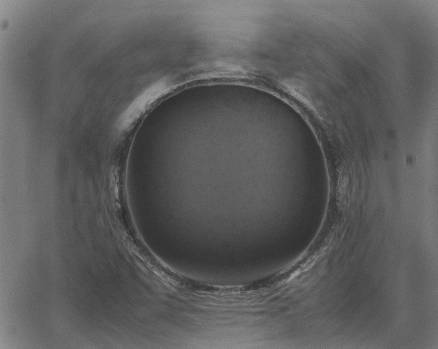 X0000062881455200601201807