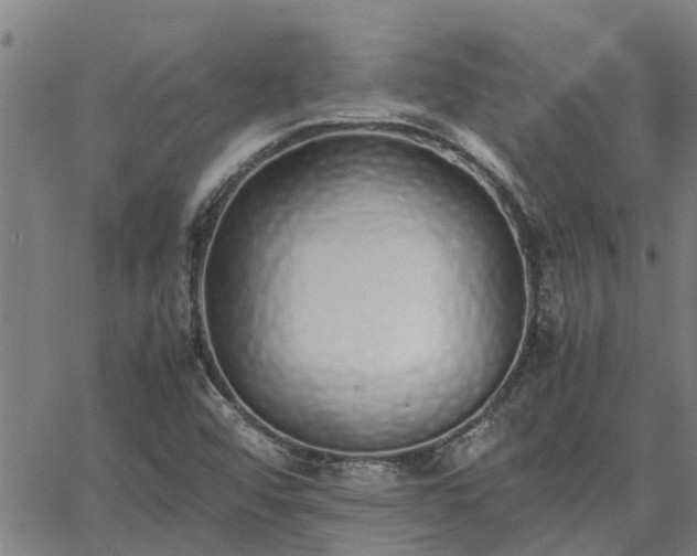 X0000062881456200601201807