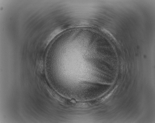 X0000062881457200601201807