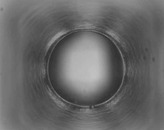 X0000062881458200601201807