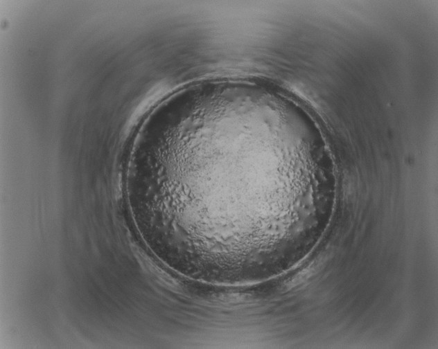 X0000062881459200601201807