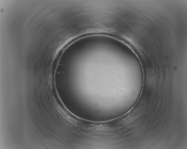 X0000062881460200601201807