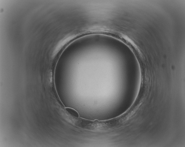 X0000062881461200601201807