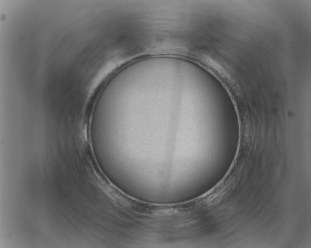 X0000062881462200601201807