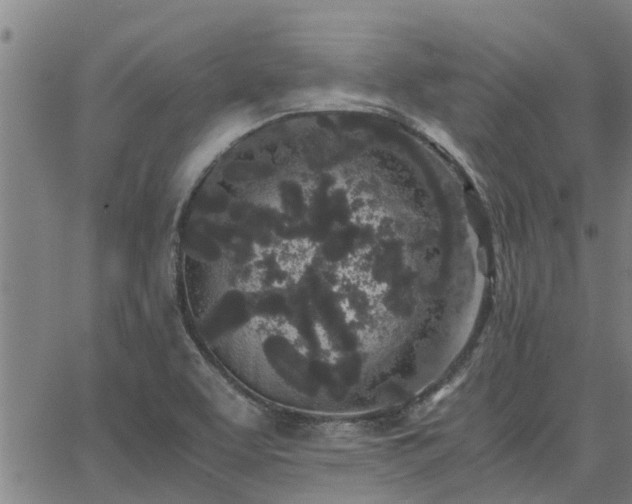 X0000062881463200601201807