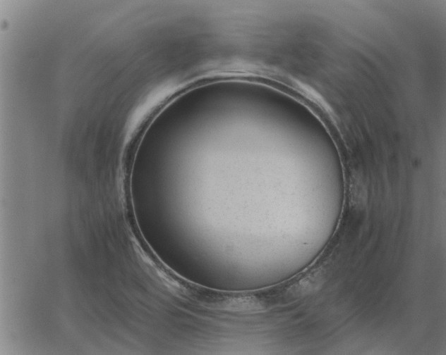 X0000062881464200601201807