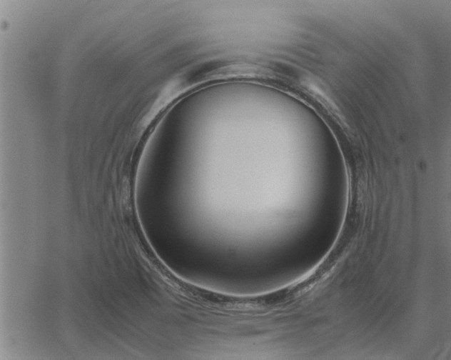 X0000062881465200601201807