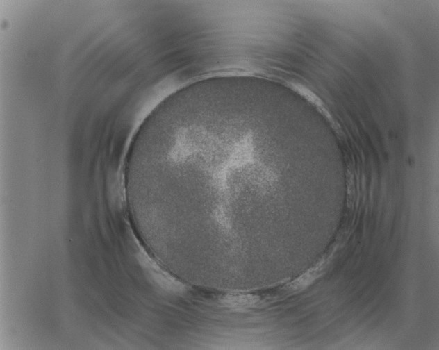 X0000062881466200601201807