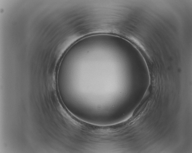 X0000062881468200601201807