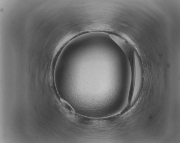 X0000062881469200601201807