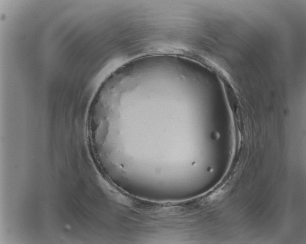 X0000062881471200601201807