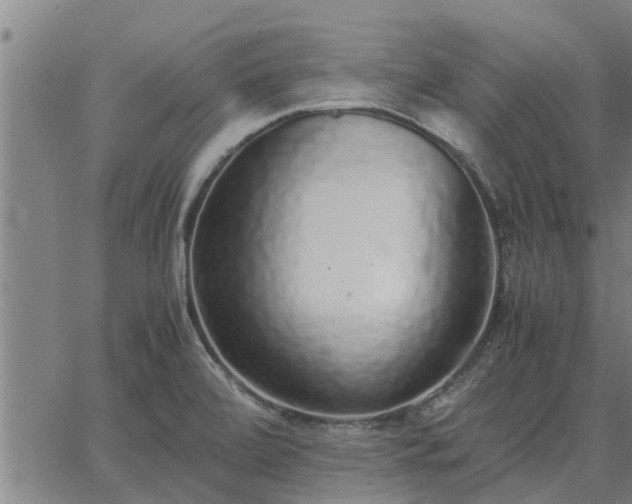 X0000062881472200601201807