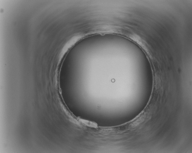 X0000062881477200601201807