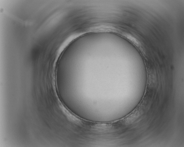 X0000062881478200601201807