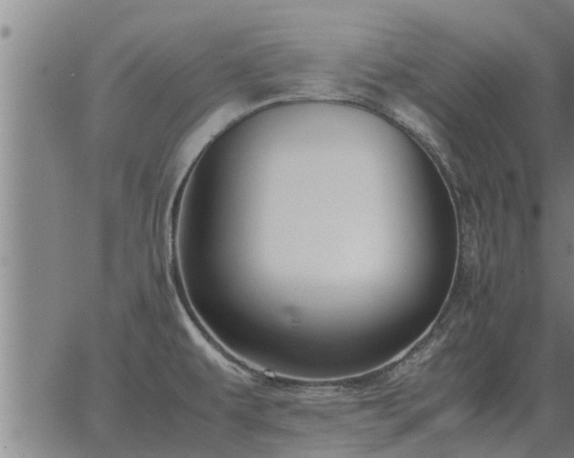 X0000062881479200601201807