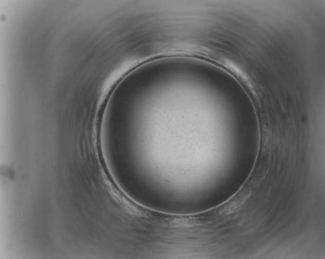 X0000062881480200601201807