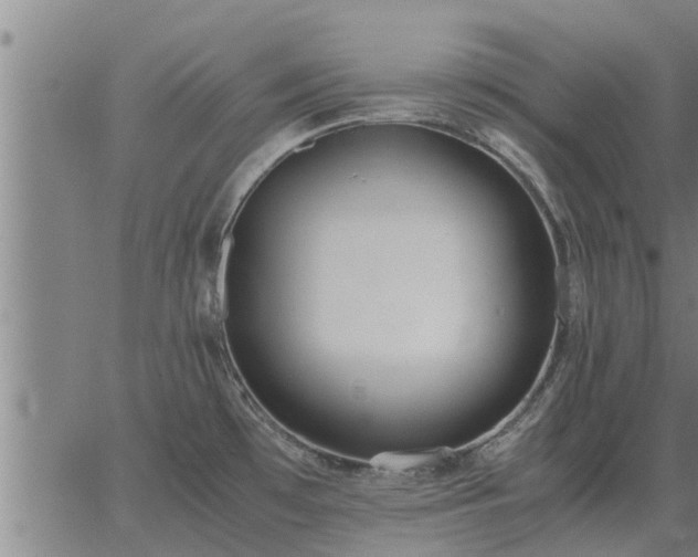 X0000062881481200601201807