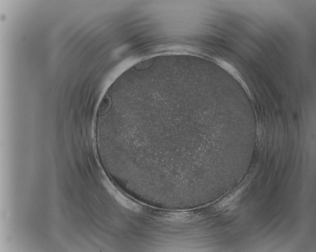 X0000062881482200601201807