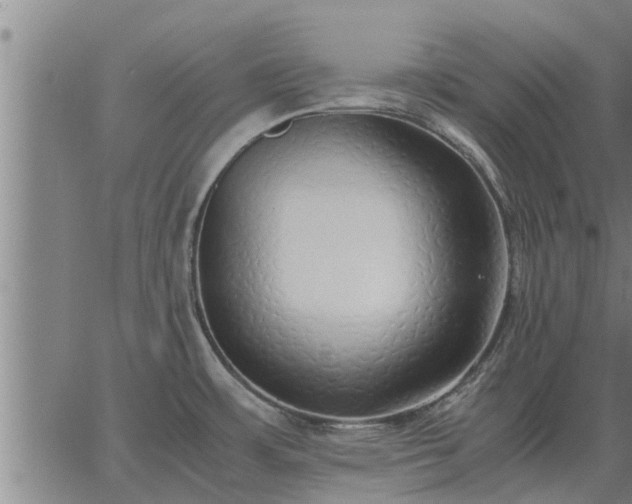 X0000062881483200601201807