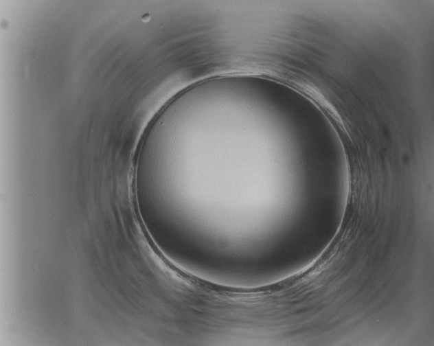 X0000062881484200601201807