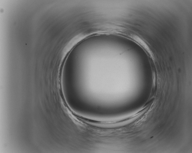 X0000062881485200601201807