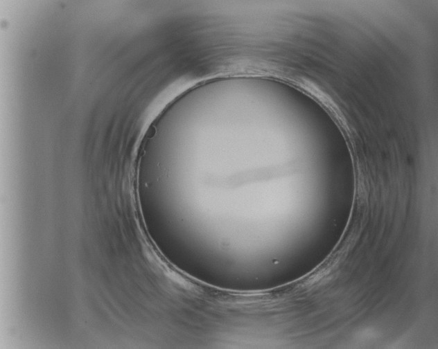 X0000062881486200601201807