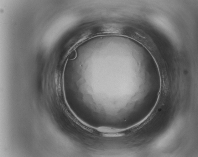 X0000062881487200601201807